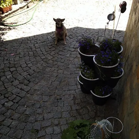 Kalina Appartamento *