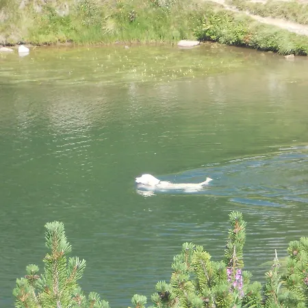 Kalina * Bansko